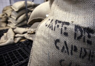 Определены самые дорожающие в мире группы товаров