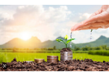 În luna aprilie, peste 900 de companii au primit subvenții agricole în valoare de 247 de milioane de lei.