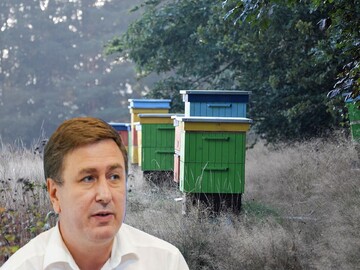 2025 was the most difficult year in decades for beekeeping in Moldova, with production falling by more than half to 2,500 tons