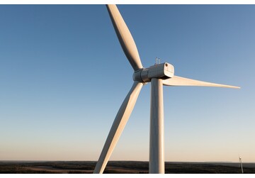 Trump suspendă toate proiectele de parcuri eoliene offshore, invocând mișcarea palelor turbinelor