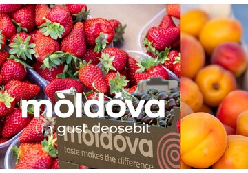 In 2022-2025, the export of the fruit sector of Moldova exceeded 200 million lei thanks to the grant activities of the Investment Agency.