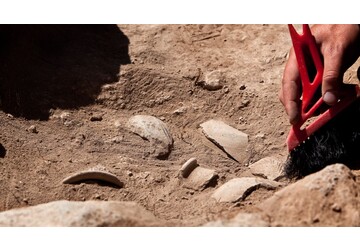 Cele mai vechi unelte din lume, cu o vârstă estimată la 430.000 de ani, descoperite în Grecia