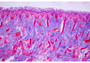 Стало известно, возможна ли жизнь на Марсе