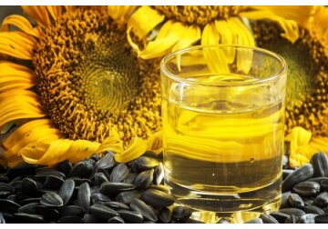 În a doua jumătate a anului 2023, veniturile celui mai mare holding agroindustrial din Moldova, Trans-Oil Group (Aragvi Holding International Ltd.) au constitui 1 mld. 292,4 mil. Dolari, fiind în creștere cu 13,1% față de aceeași perioadă a anului 2022.