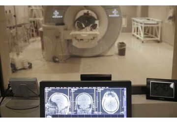 Мозг "супердолгожителей" очень активно формирует новые нейроны