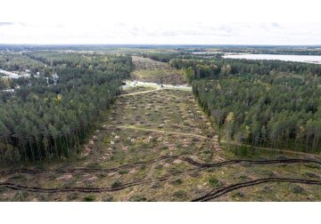 Unul dintre marile proiecte feroviare europene va costa peste 15 miliarde euro, dublu față de cât se credea la început