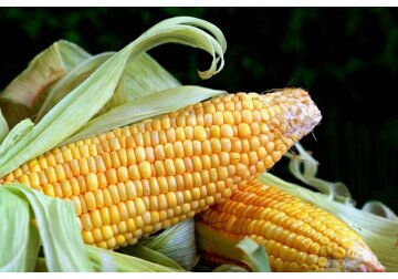 China va impune tarife vamale suplimentare pentru o serie de produse agricole americane. 15 firme din SUA, plasate pe lista entităților considerate că aduc atingere securității naționale și intereselor Beijingului