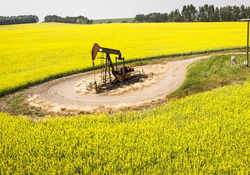 В мире договорились добывать больше нефти