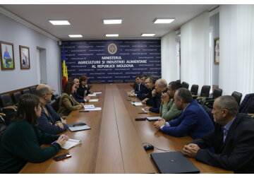 MAIA: Pentru a asigura un viitor mai bun viticulturii, este esențial ca Moldova să-și reducă dependența de materialul săditor importat