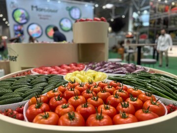 Un grup de producători de legume din Moldova a vizitat expoziția internațională INDAGRA 2025 din București, unde s-a familiarizat cu tehnologiile moderne și tendințele din agricultura europeană