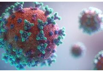 The dominant strain of the coronavirus that is spreading in Moldova remains "omicron".
