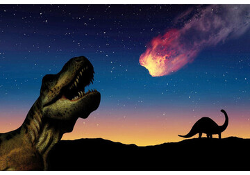 Раскрыта загадка возникновения жизни после гибели динозавров