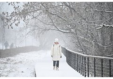 Раскрыта полезная привычка для зимних обеденных перерывов