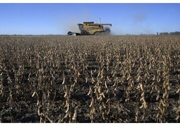 Argentina Fights to Save Huge Soy Exports After Dutch Rejections