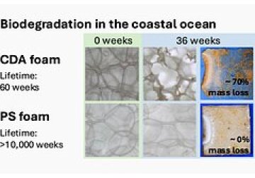Новый разлагаемый в морской воде пластик успешно испытан