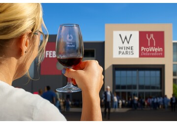 ONVV: Vinul moldovean va fi prezentat pe scară largă la cele mai mari expoziții internaționale Wine Paris și ProWein Düsseldorf, care vor avea loc în perioada 9-11 februarie și, respectiv, 15-17 martie  